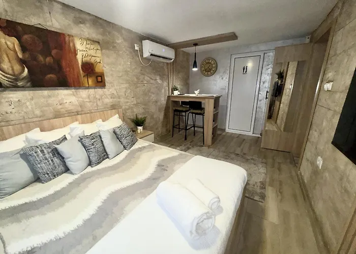 Entire Place In Zemun