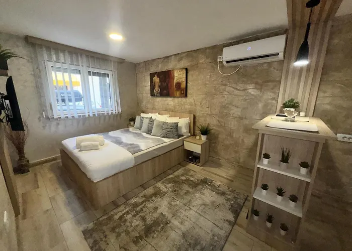 Entire Place In Zemun
